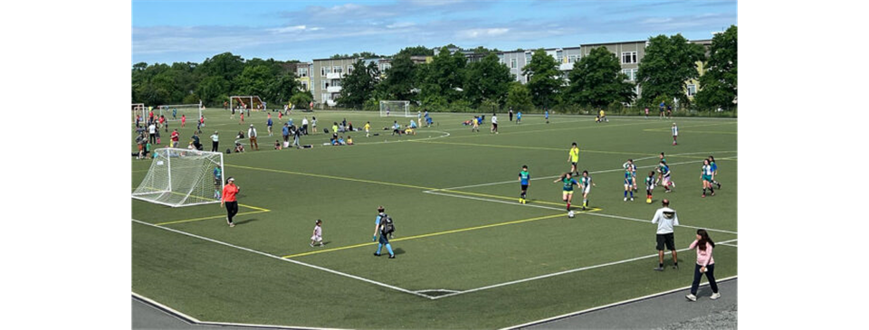 Cambridge Day article on World Cup
